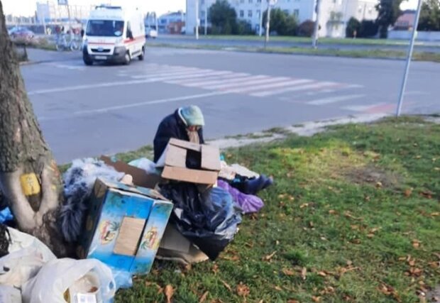 Життя в картонній коробці: пенсіонерка оселилася на борщагівській зупинці