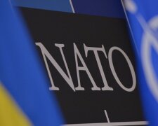 Переговори про прийом України до НАТО мають розпочатися вже зараз – Міноборони Литви