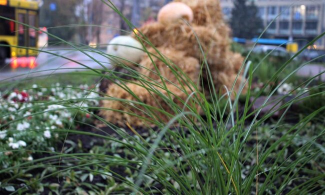 Селфі на Хелловін: у Києві з`явилась фотозона із гарбузами та квітами (фото)