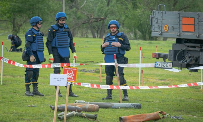 На повне розмінування Київської області знадобиться від 30 до 70 років – ОВА