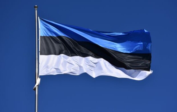 Естонія ухвалила новий пакет військової допомоги для України: що передадуть