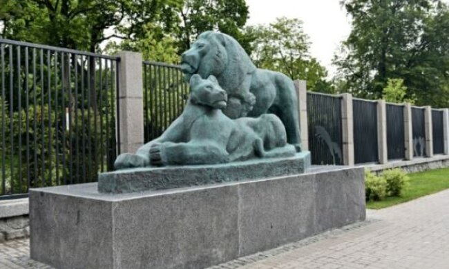 Бронзові леви повернулись до Київського зоопарку (фото)